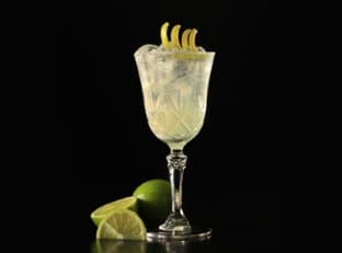 Gin Sour