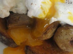 Poached Eggs On A Bed Of Fried Mushrooms and Country White Bread
