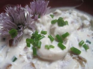 Caramelized Onion Dip